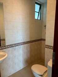 Tanglin Regency (D10), Condominium #500438961